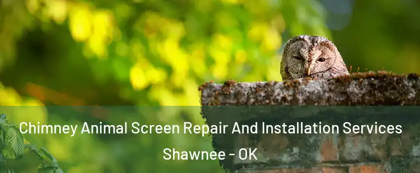  Chimney Animal Screen Repair And Installation Services Shawnee - OK