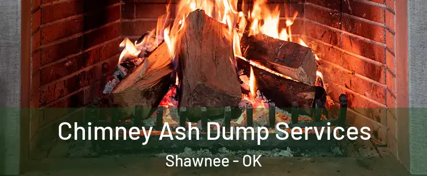  Chimney Ash Dump Services Shawnee - OK