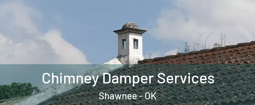  Chimney Damper Services Shawnee - OK