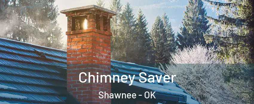  Chimney Saver Shawnee - OK