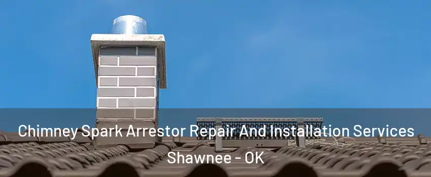  Chimney Spark Arrestor Repair And Installation Services Shawnee - OK