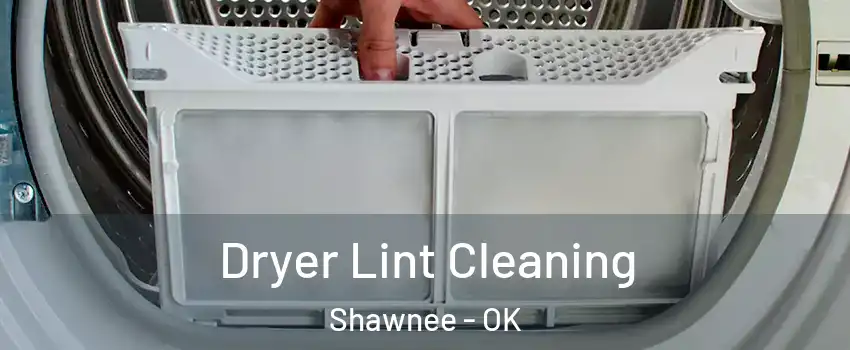  Dryer Lint Cleaning Shawnee - OK