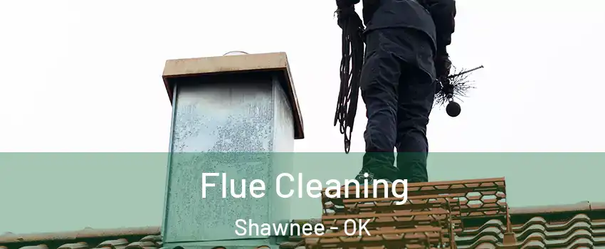  Flue Cleaning Shawnee - OK