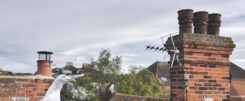 Chimney Cleaning And Restoration in Shawnee, Oklahoma