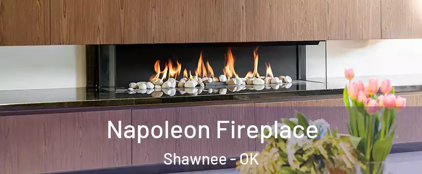  Napoleon Fireplace Shawnee - OK